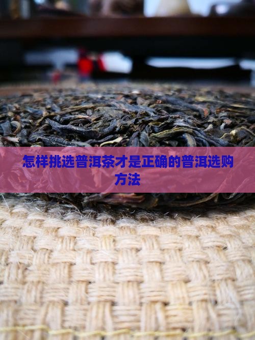 如何挑选普洱茶好