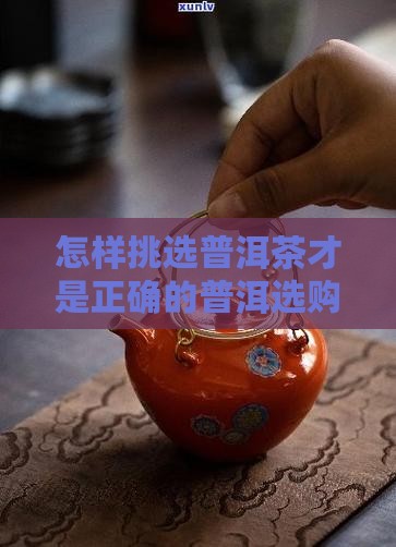 如何挑选普洱茶好