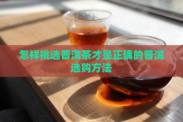如何挑选普洱茶好