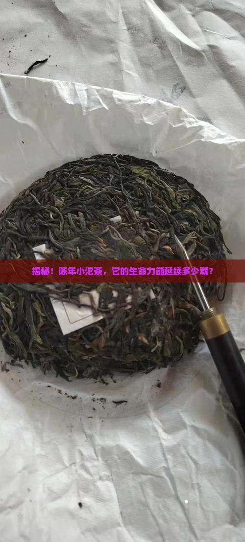 陈年普洱小沱茶可以保存几年