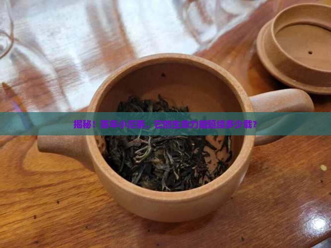 陈年普洱小沱茶可以保存几年