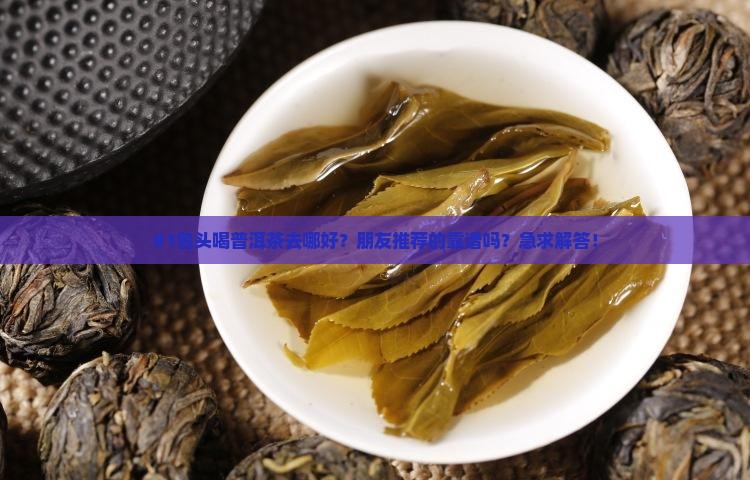 包头普洱茶哪家好