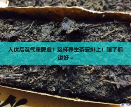 入伏后湿气重脾虚喝什么茶好