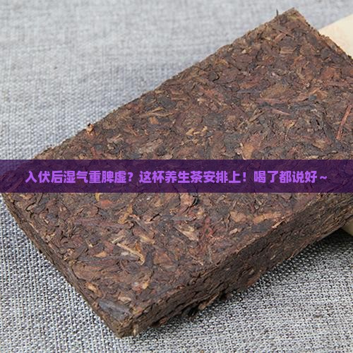 入伏后湿气重脾虚喝什么茶好