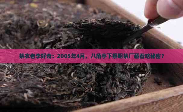2005年4月黎明茶厂八角亭