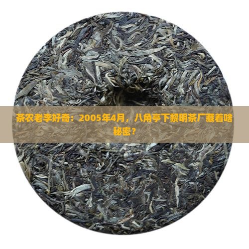 2005年4月黎明茶厂八角亭