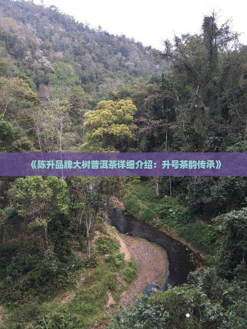 陈升号普洱茶介绍