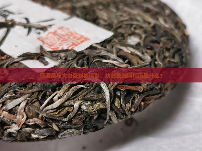 普洱茶大白茶饼