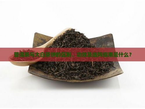 普洱茶大白茶饼