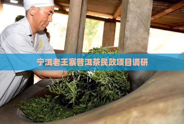 宁洱老王寨普洱茶