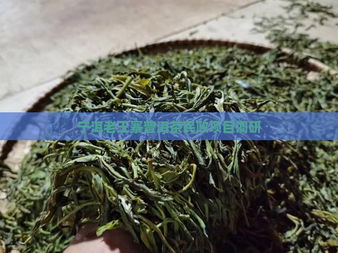 宁洱老王寨普洱茶