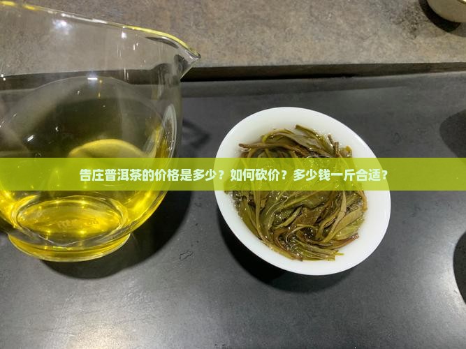 告庄普洱茶砍价多少一斤