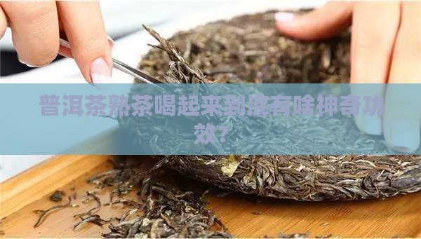 普洱茶熟茶的功效怎样