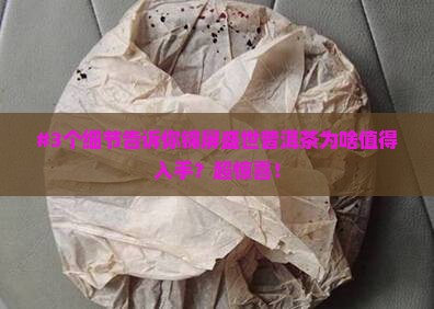 锦屏盛世普洱茶