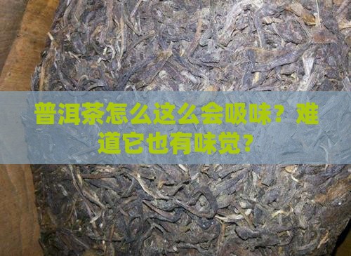 普洱茶吸味怎么回事