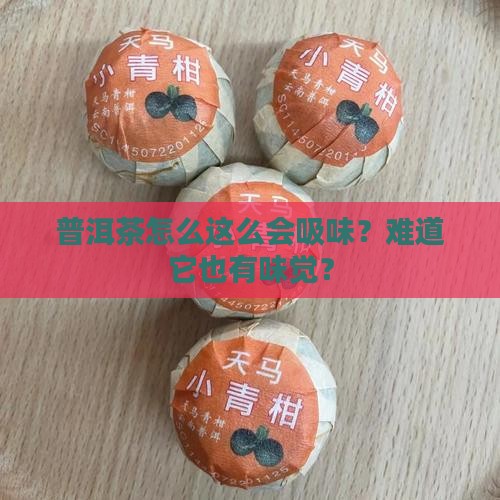 普洱茶吸味怎么回事