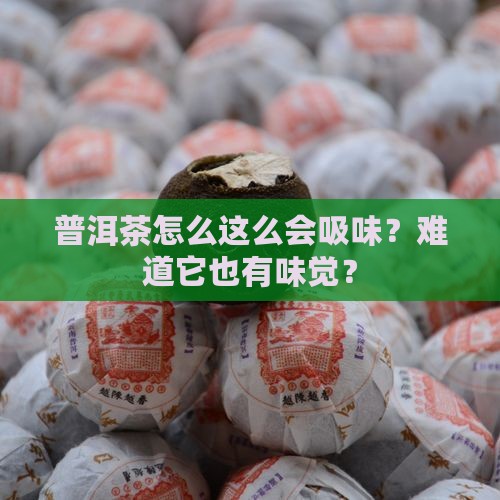 普洱茶吸味怎么回事