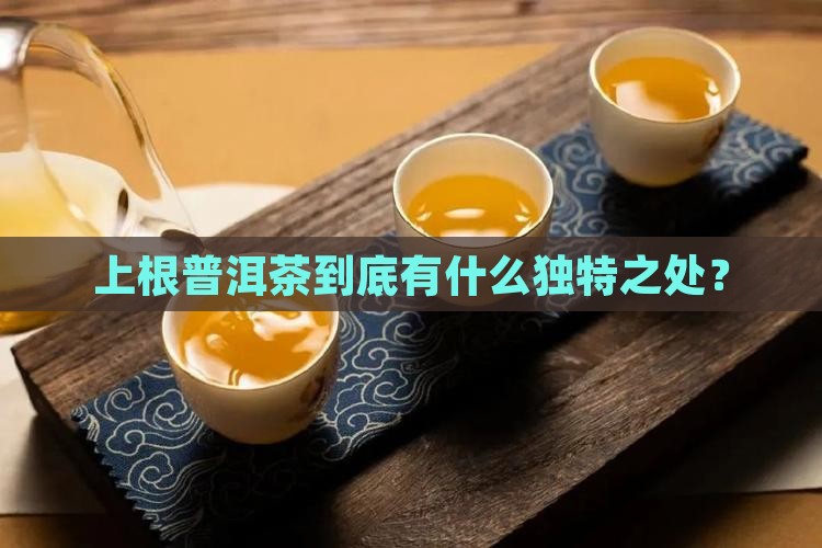 上根普洱茶特点是什么