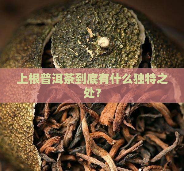 上根普洱茶特点是什么