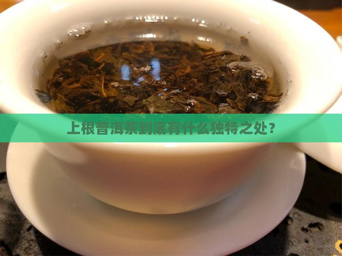 上根普洱茶特点是什么