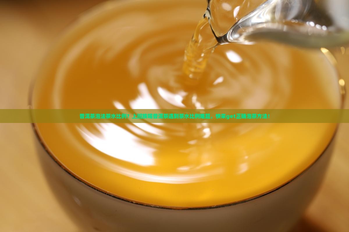 普洱茶泡法茶水比例