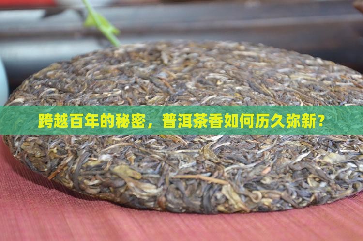 百年生香普洱茶
