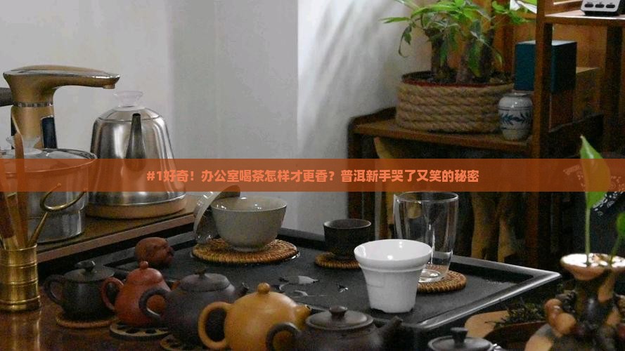 普洱茶怎么喝比较好喝