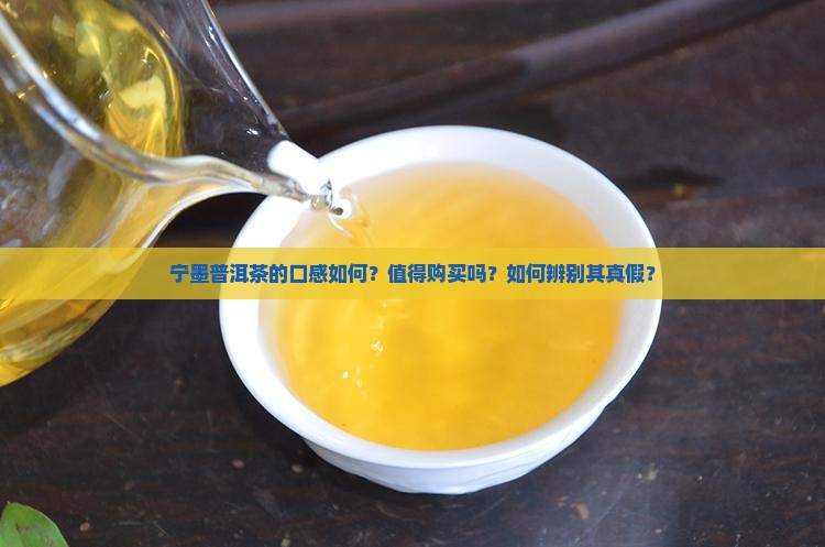宁墨普洱茶怎么样
