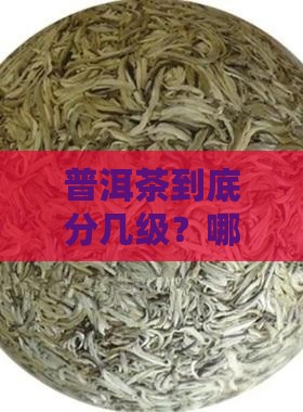 普洱茶分级有几级的茶