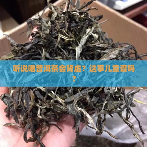 喝普洱茶可肾虚