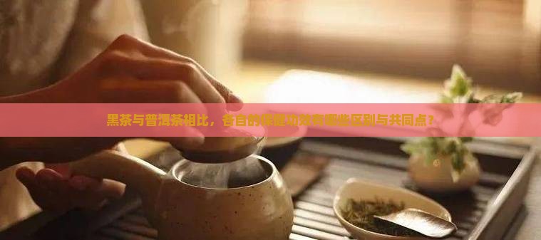 黑茶与普洱茶的保健功效