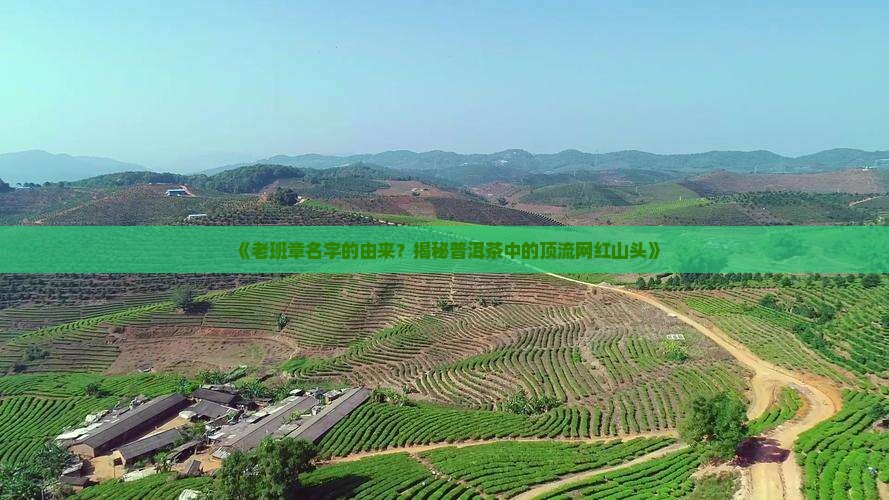 老班章名字的由来