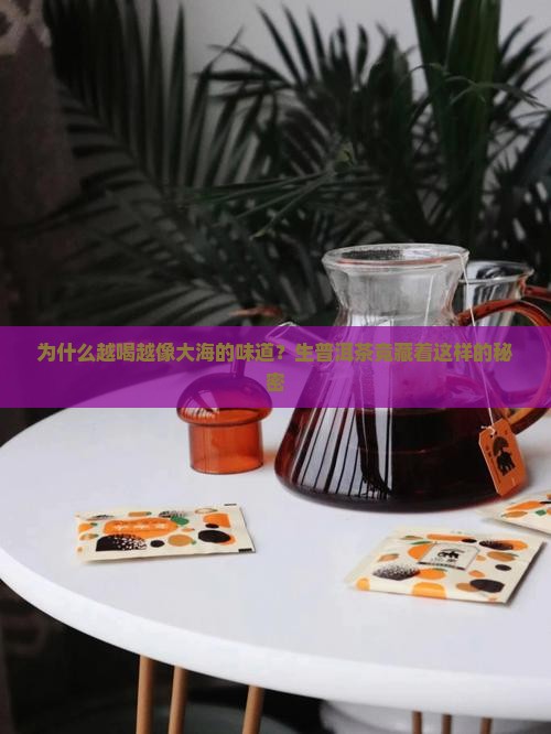 生普洱茶喝到最后有鱼腥味