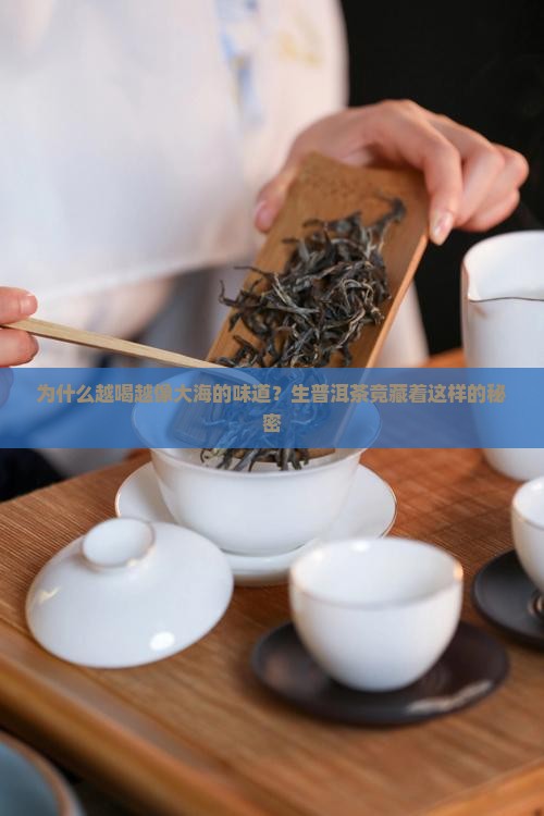 生普洱茶喝到最后有鱼腥味