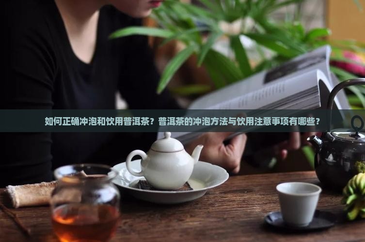 普洱茶的标准饮用法