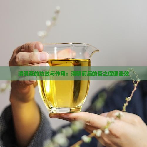 清明茶的功效与作用清明前后的茶