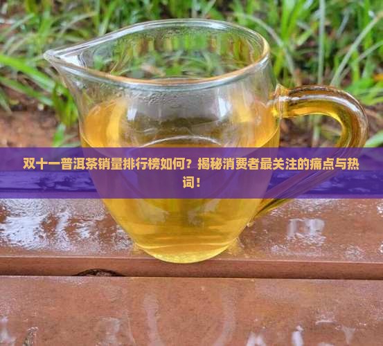 双十一普洱茶排名