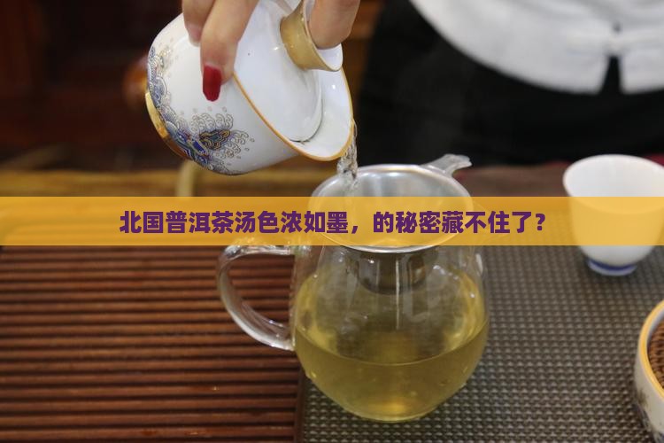 北方的水泡普洱茶颜色深 北方的水泡普洱茶颜色深