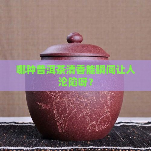 普洱茶哪种清香好闻点呢