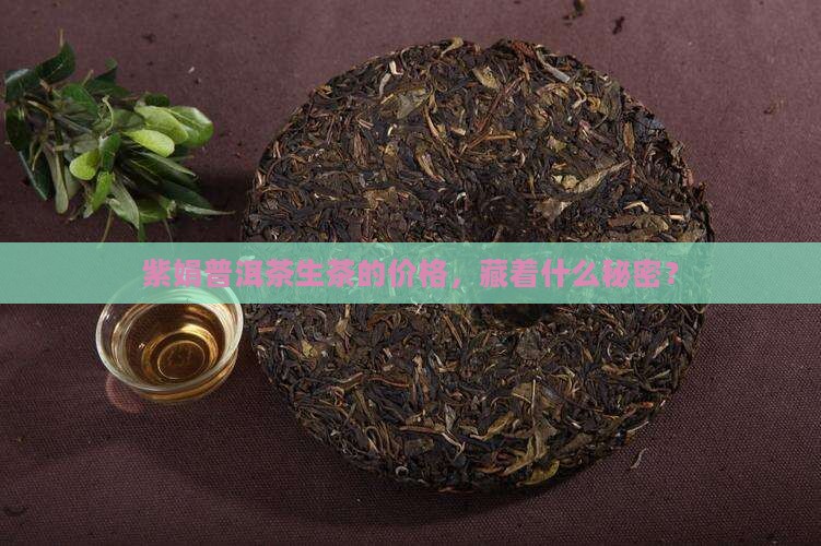 紫娟普洱茶生茶价格