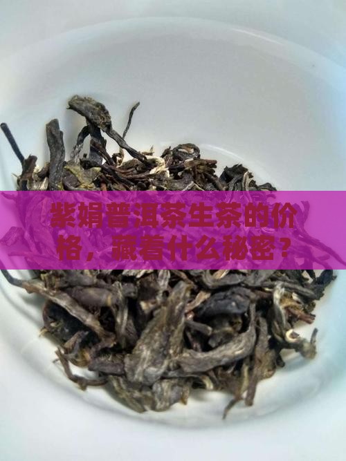 紫娟普洱茶生茶价格