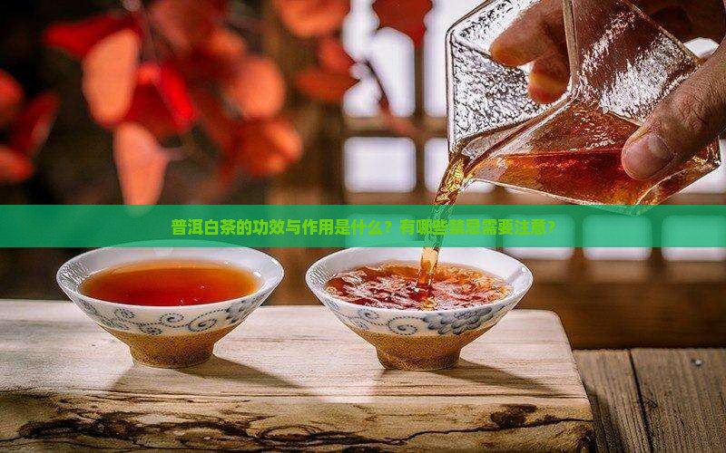 普洱白茶的功效与作用及禁忌