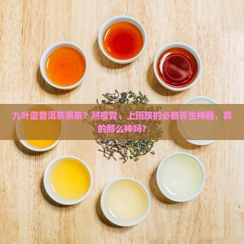 九叶蓝普洱茶黑茶