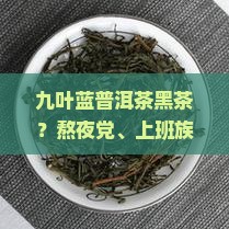 九叶蓝普洱茶黑茶