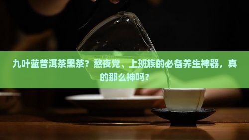 九叶蓝普洱茶黑茶