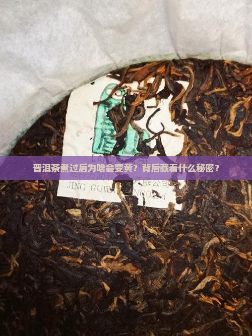 普洱茶煮后发黄