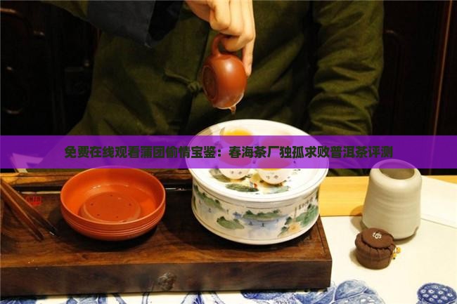 春海茶厂独孤求败普洱茶怎么样