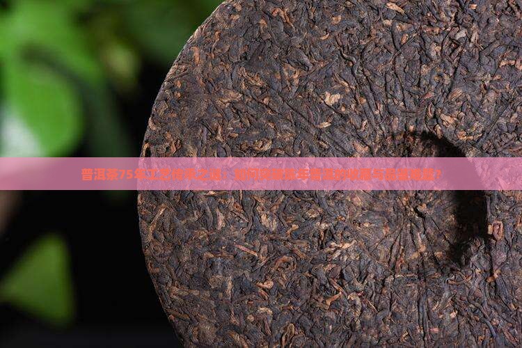 75年普洱茶工艺是什么