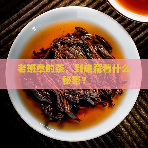 老班章出产什么茶