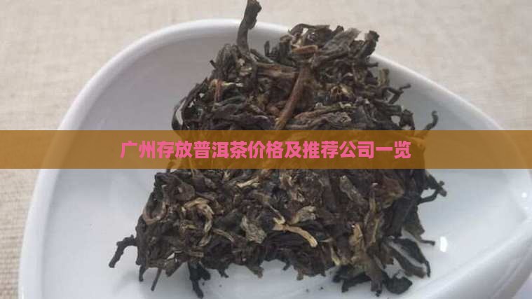 广州存放普洱茶